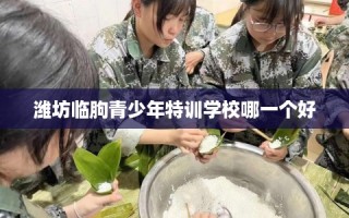 潍坊临朐青少年特训学校哪一个好