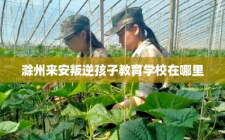 滁州来安叛逆孩子教育学校在哪里