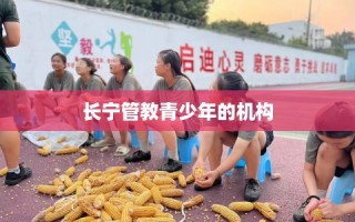 长宁管教青少年的机构