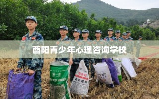 酉阳青少年心理咨询学校
