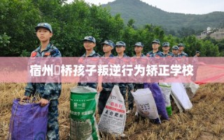 宿州埇桥孩子叛逆行为矫正学校