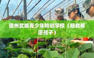 德州武城青少年特训学校（拯救叛逆孩子）