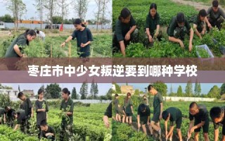 枣庄市中少女叛逆要到哪种学校