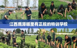 江西鹰潭哪里有正规的特训学校