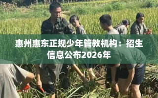 惠州惠东正规少年管教机构：招生信息公布2026年