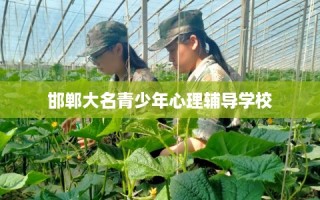 邯郸大名青少年心理辅导学校