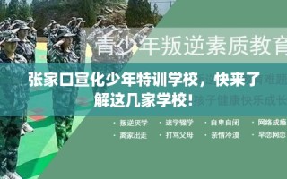 张家口宣化少年特训学校，快来了解这几家学校!