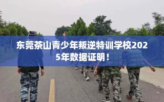 东莞茶山青少年叛逆特训学校2025年数据证明！