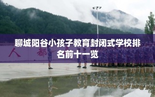 聊城阳谷小孩子教育封闭式学校排名前十一览