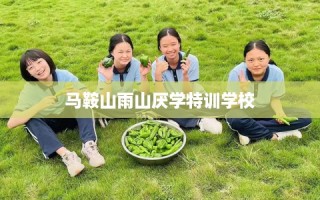 马鞍山雨山厌学特训学校