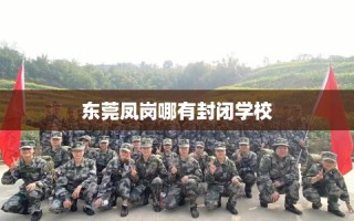 东莞凤岗哪有封闭学校