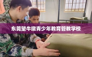 东莞望牛墩青少年教育管教学校