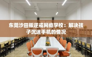 东莞沙田叛逆戒网瘾学校：解决孩子沉迷手机的情况