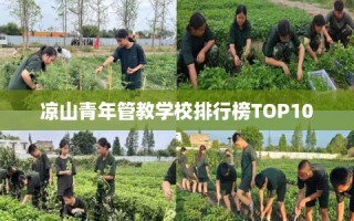 凉山青年管教学校排行榜TOP10