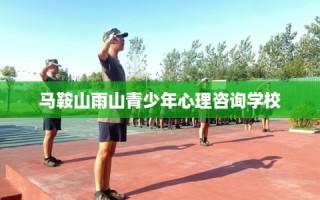 马鞍山雨山青少年心理咨询学校