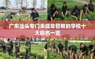 广东汕头专门未成年管教的学校十大排名一览