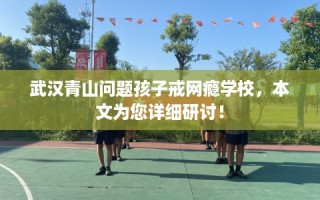 武汉青山问题孩子戒网瘾学校，本文为您详细研讨！