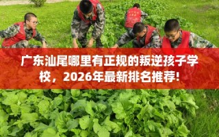 广东汕尾哪里有正规的叛逆孩子学校，2026年最新排名推荐!