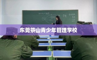 东莞茶山青少年管理学校