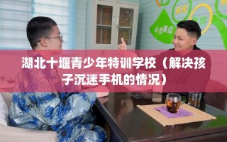 湖北十堰青少年特训学校（解决孩子沉迷手机的情况）
