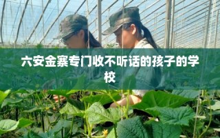 六安金寨专门收不听话的孩子的学校