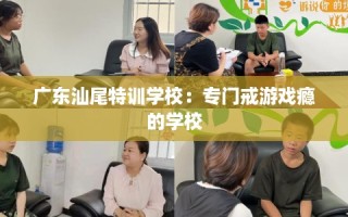 广东汕尾特训学校：专门戒游戏瘾的学校