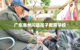 广东惠州问题孩子教育学校