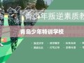 青岛少年特训学校