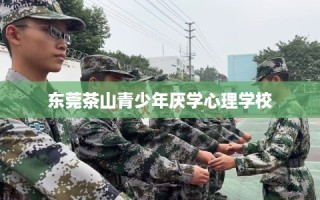 东莞茶山青少年厌学心理学校