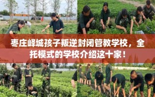 枣庄峄城孩子叛逆封闭管教学校，全托模式的学校介绍这十家！