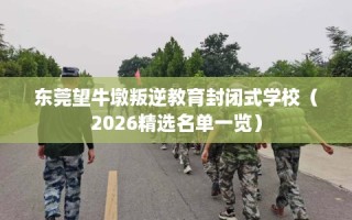 东莞望牛墩叛逆教育封闭式学校（2026精选名单一览）