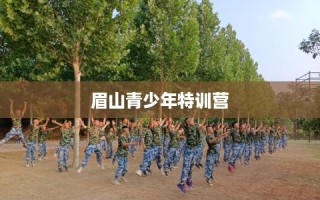 眉山青少年特训营