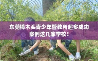 东莞樟木头青少年管教所超多成功案例这几家学校！
