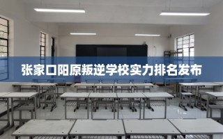 张家口阳原叛逆学校实力排名发布
