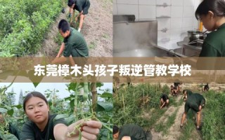 东莞樟木头孩子叛逆管教学校