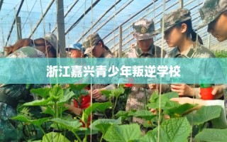 浙江嘉兴青少年叛逆学校