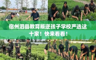 宿州泗县教育叛逆孩子学校严选这十家！快来看看！