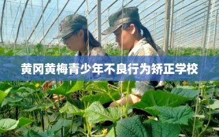 黄冈黄梅青少年不良行为矫正学校