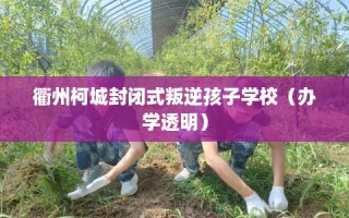 衢州柯城封闭式叛逆孩子学校（办学透明）