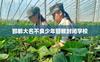 邯郸大名不良少年管教封闭学校
