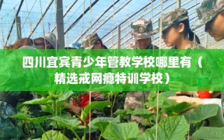 四川宜宾青少年管教学校哪里有（精选戒网瘾特训学校）