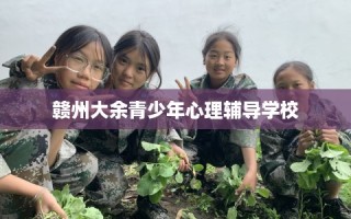 赣州大余青少年心理辅导学校