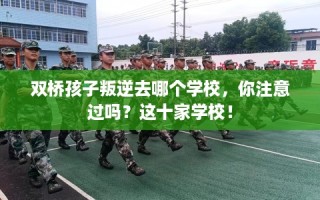 双桥孩子叛逆去哪个学校，你注意过吗？这十家学校！