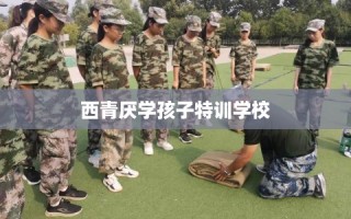 西青厌学孩子特训学校
