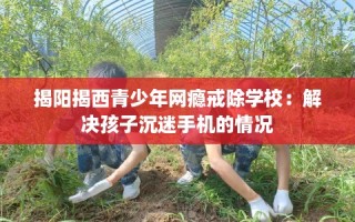 揭阳揭西青少年网瘾戒除学校：解决孩子沉迷手机的情况