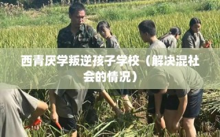 西青厌学叛逆孩子学校（解决混社会的情况）