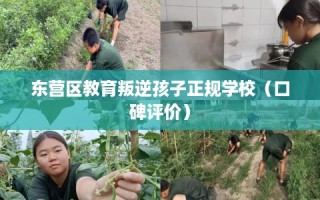 东营区教育叛逆孩子正规学校（口碑评价）