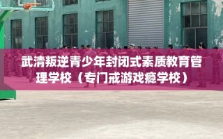 武清叛逆青少年封闭式素质教育管理学校（专门戒游戏瘾学校）