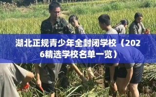 湖北正规青少年全封闭学校（2026精选学校名单一览）