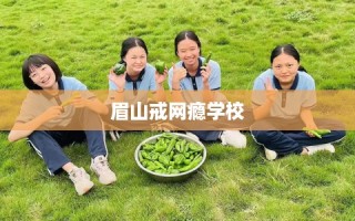 眉山戒网瘾学校